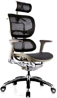 Quality ergonomic high back mesh chairs