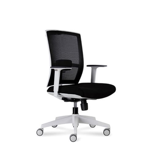 D-227M (Mid back mesh chair)