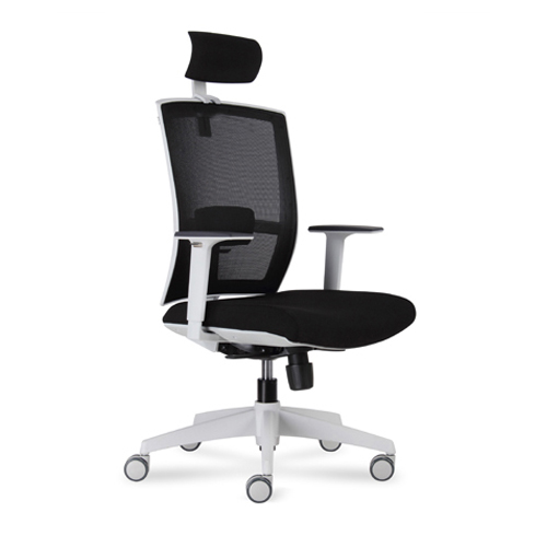 D-227H (High back mesh chair)