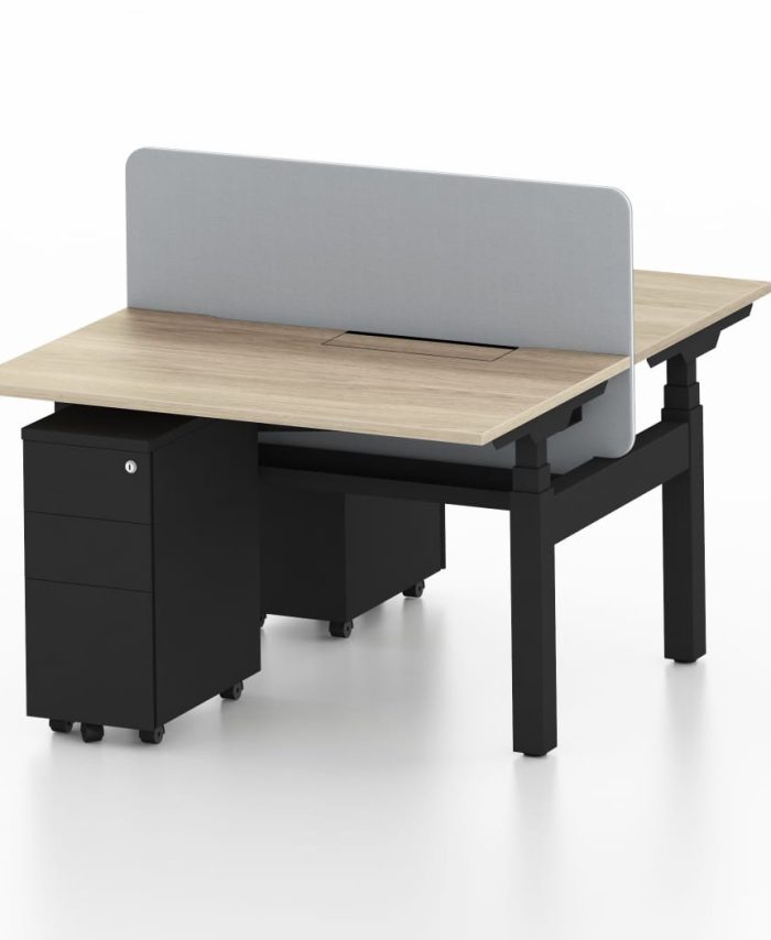 Height Adjustable Rectangular Table (Double)